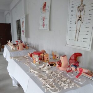 Babul_and_Sahanara_Nursing_Training_Institute_Howrah_Top_Best_Male_Nursing_College_GNM_B.Sc.Nursing_Howrah_West Bengal10